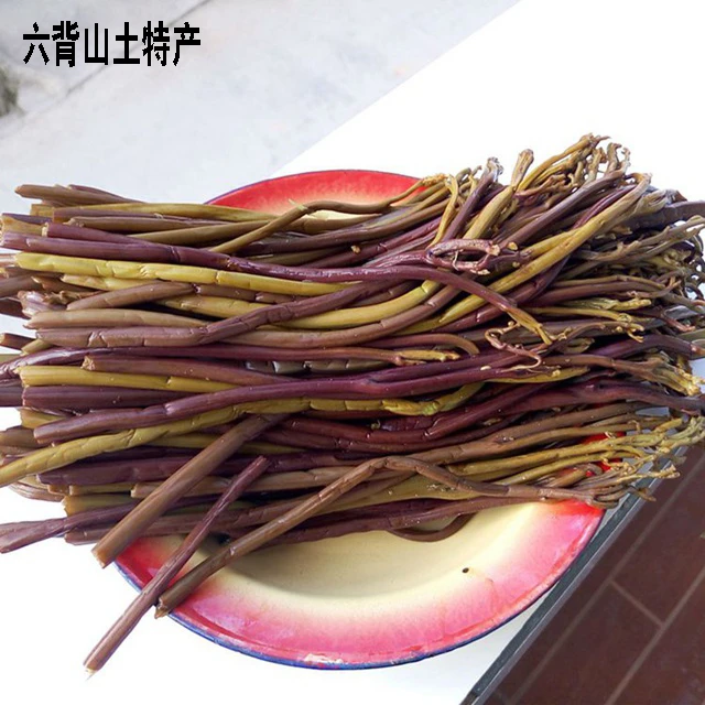 野生新鲜蕨菜现摘野菜龙爪菜应季蔬菜食用厥菜贵州农产品直销一斤