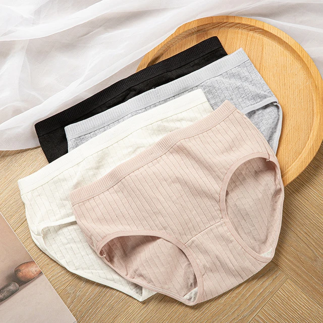 素色简约95%纯棉4条短裤女纯棉女中腰大码包臀女士少女打底裤