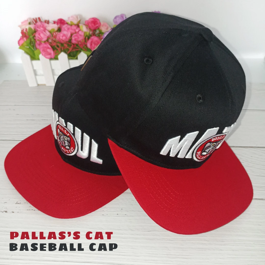 兔狲卡通刺绣平檐纪念棒球帽黑红运动帽