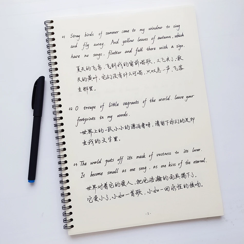手写字帖飞鸟集中英文双语成人学生行书硬笔练字本