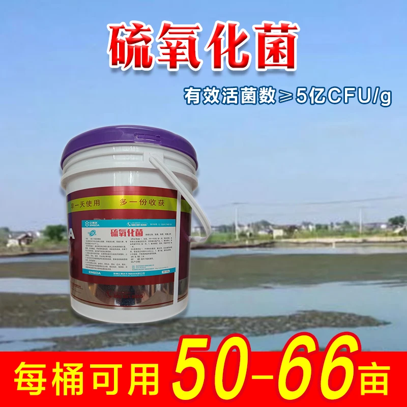 亿美达硫氧化菌 去硫化氢 防红爪 改底除臭