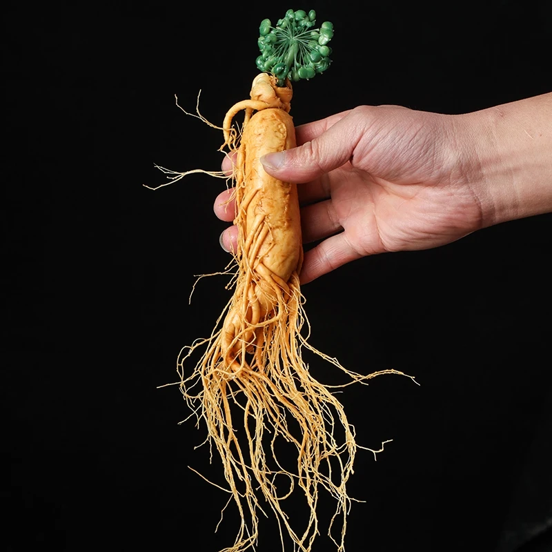 长白山特产净含量150-250克美味营养可泡酒