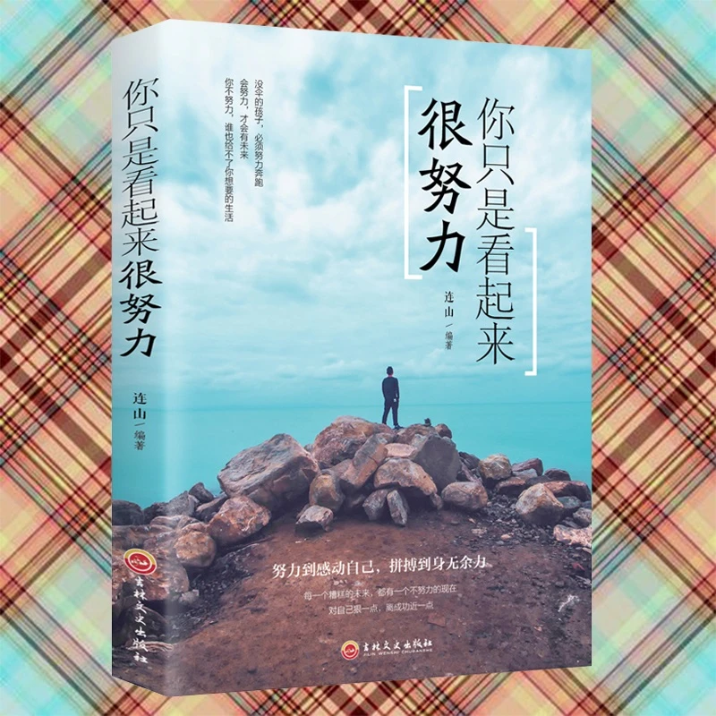 你只是看起来很努力正版书籍sl