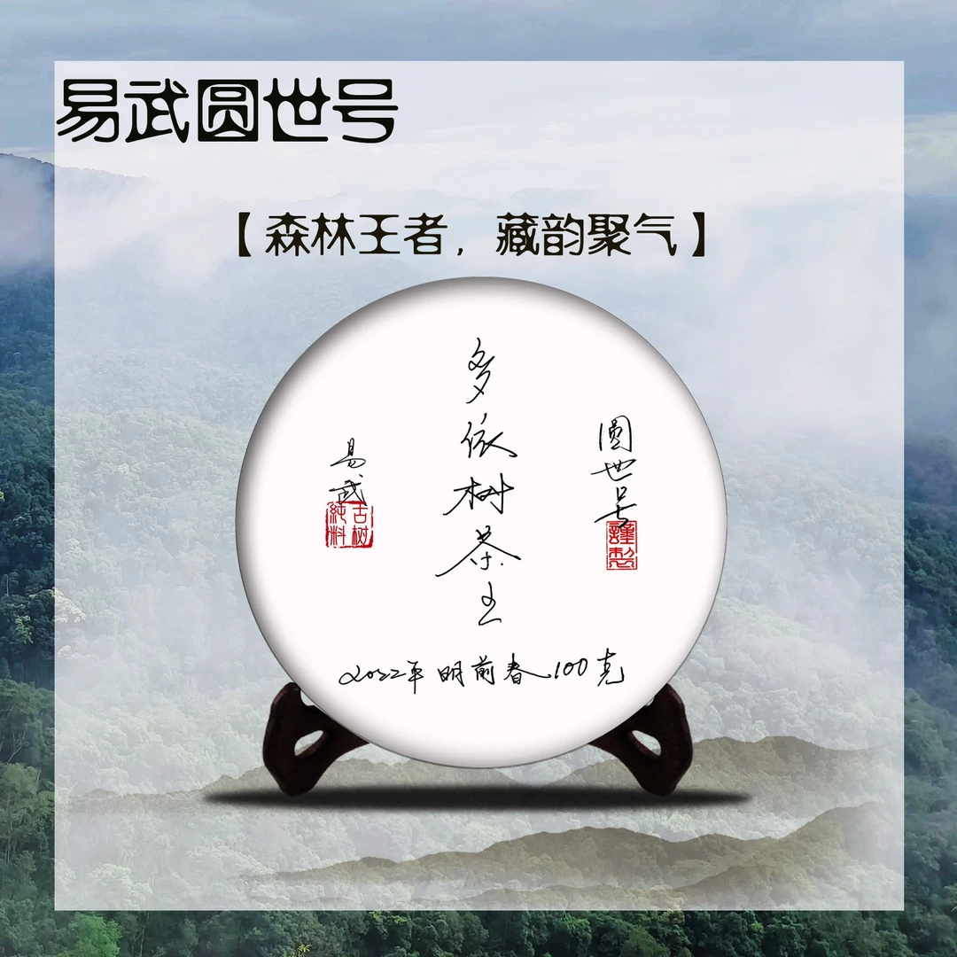 圆世号多依树茶王100克/饼2022年头春生茶