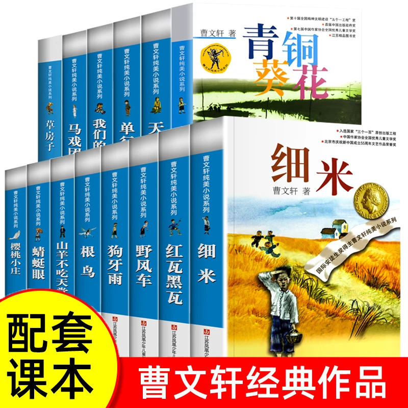 正版曹文轩纯美小说集青铜葵花 天黑了等儿童文学课外书籍完整版