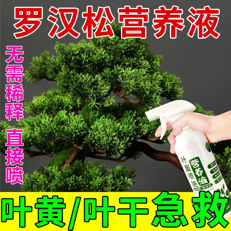 罗汉松专用肥防黄叶干叶植物一喷绿营养液红豆杉金弹子肥料花肥料