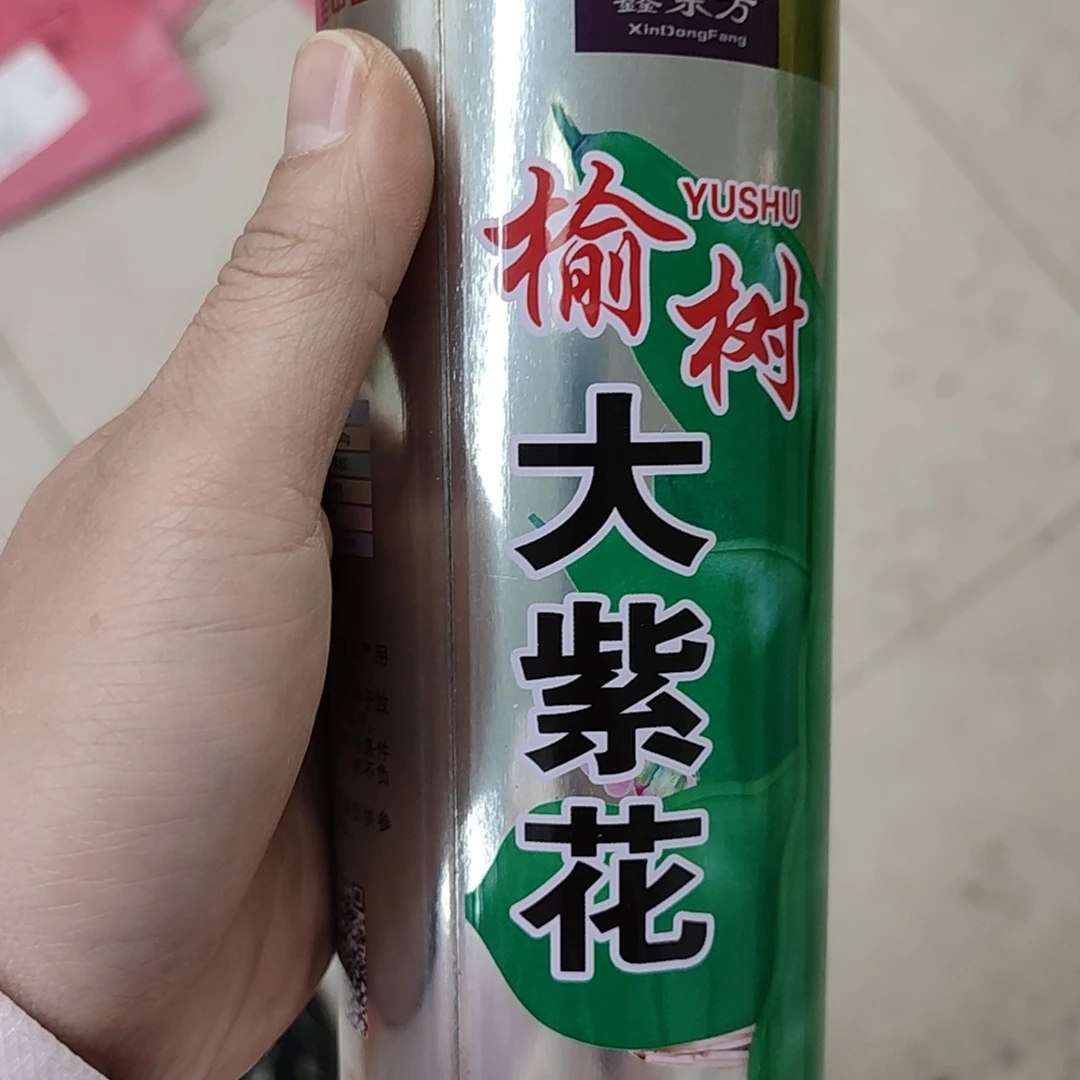 鑫东方榆树大紫花油豆铁盒一斤装豆角种子