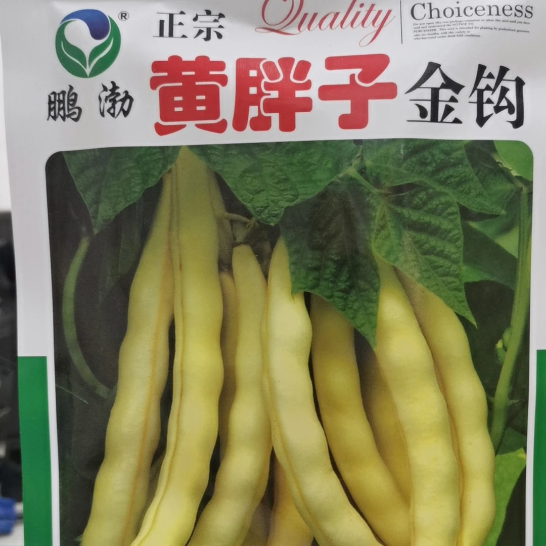 黄胖子豆角籽种子