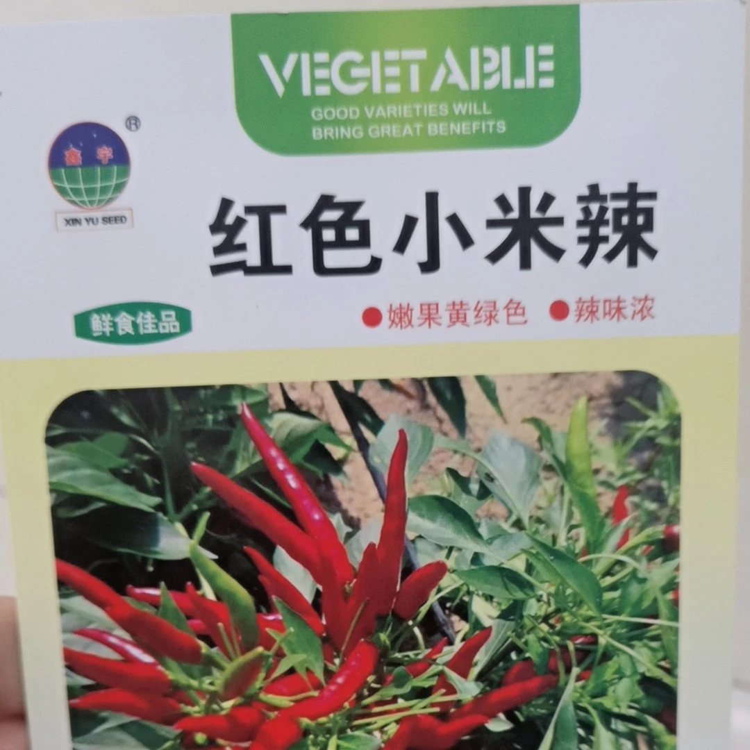 红色小米辣种子
