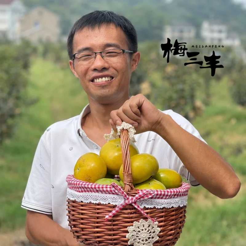 梅三丰浙江慈溪太秋甜柿（瑕疵果） 顺丰包邮江浙沪天然汁水味道
