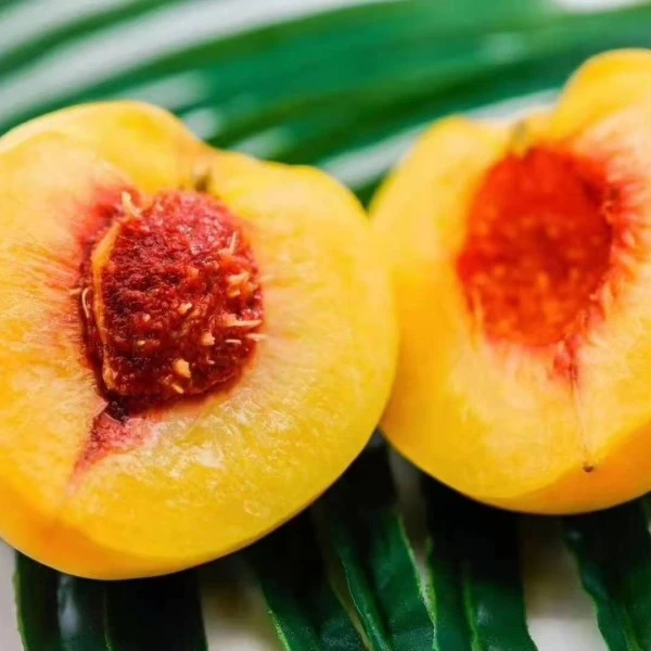 【炎陵黄桃，新鲜水果优选大果锦绣桃子现摘现发5~10斤装