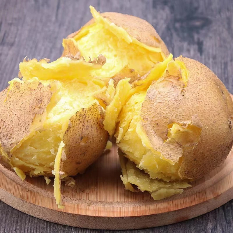 2024新鲜甘肃定西黄心土豆粉面洋芋马铃薯批发净重40斤包邮