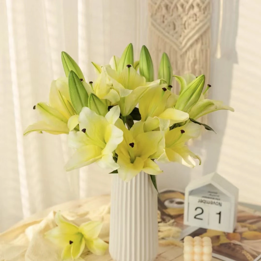 产地直采3头黄天霸