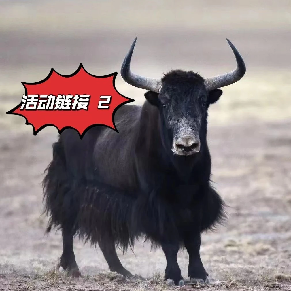 八百里生鲜·活动链接3