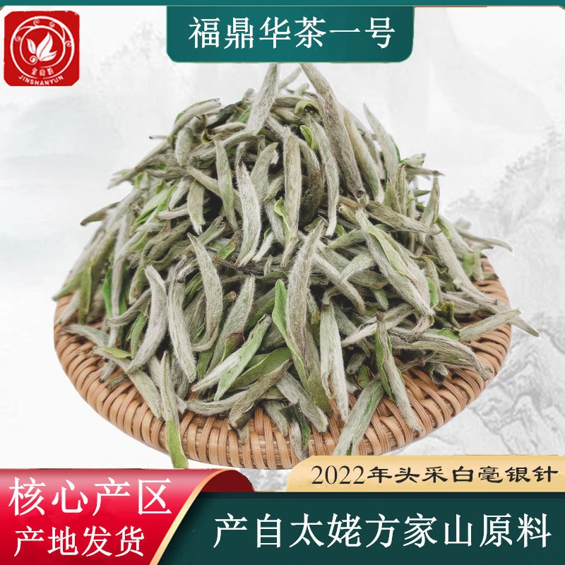 福鼎白茶2025年头採花香白毫银针50克