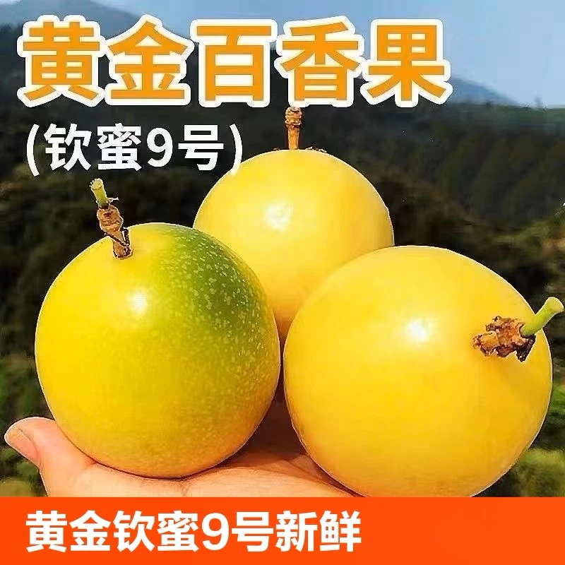 【精选统果】海南正宗热带黄金百香果钦蜜9号香甜多汁新鲜采摘果园