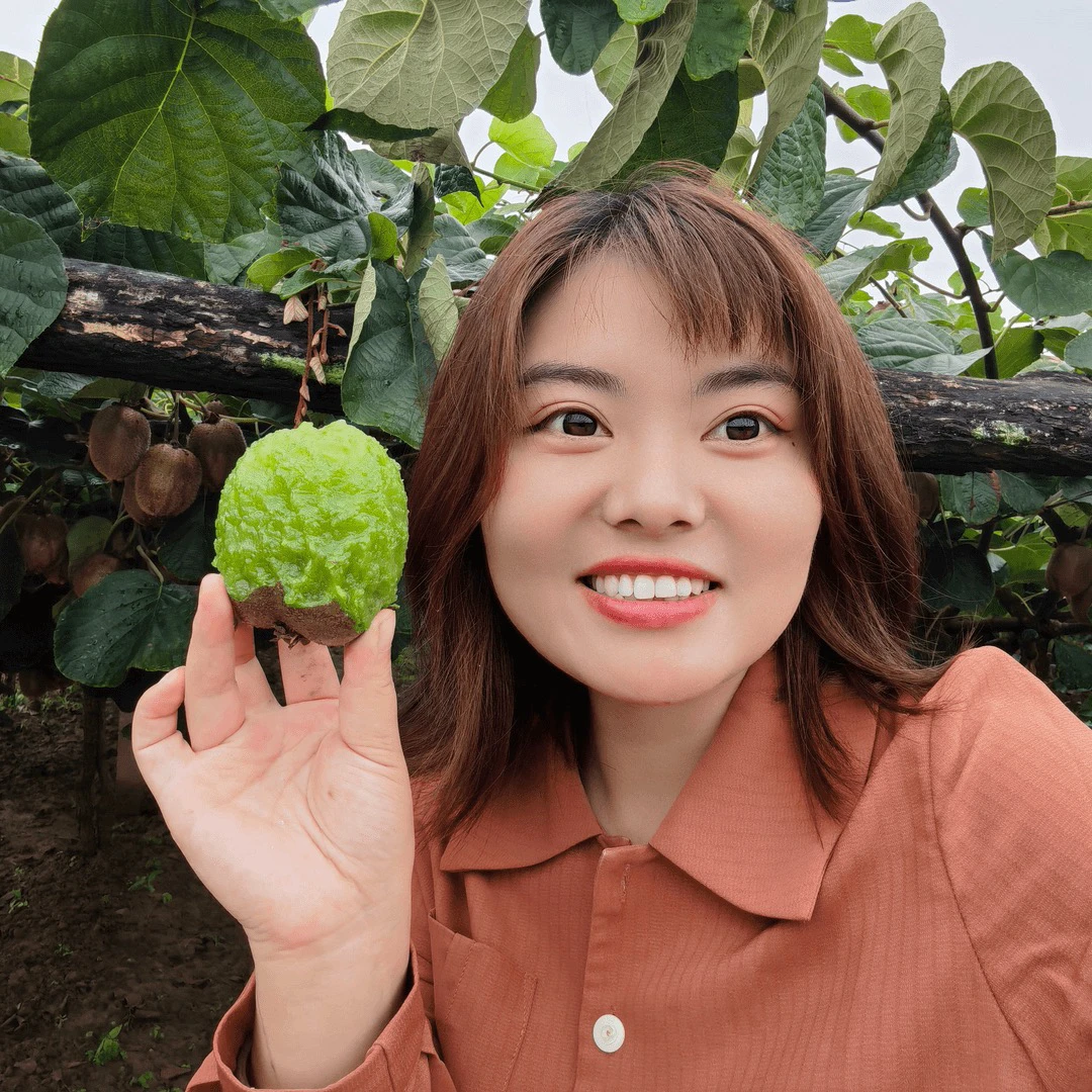 正宗陕西周至翠香猕猴桃净重4.5斤新鲜现摘现发坏果包赔