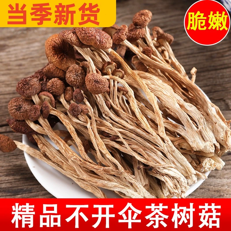 【精品茶树菇】茶树菇干货烘干香菇蘑菇不开伞茶树菇菇散装100g