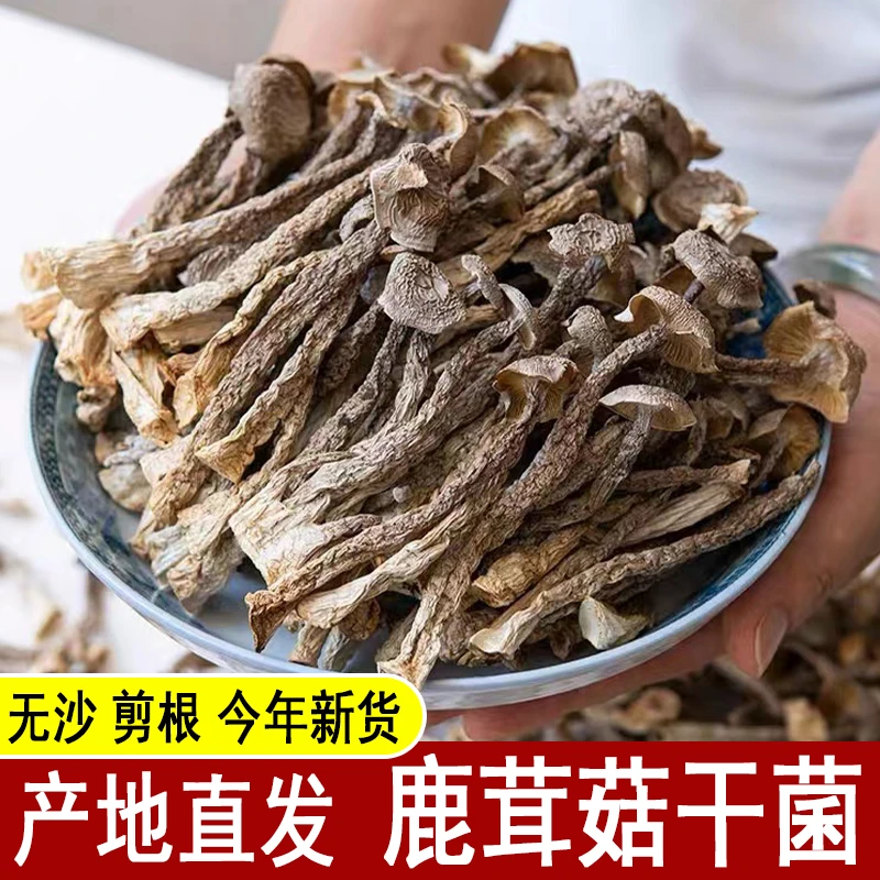 2025年新货无碎无沙鹿茸菇干货新鲜非野生脆脆菇干菇煲汤食材散装