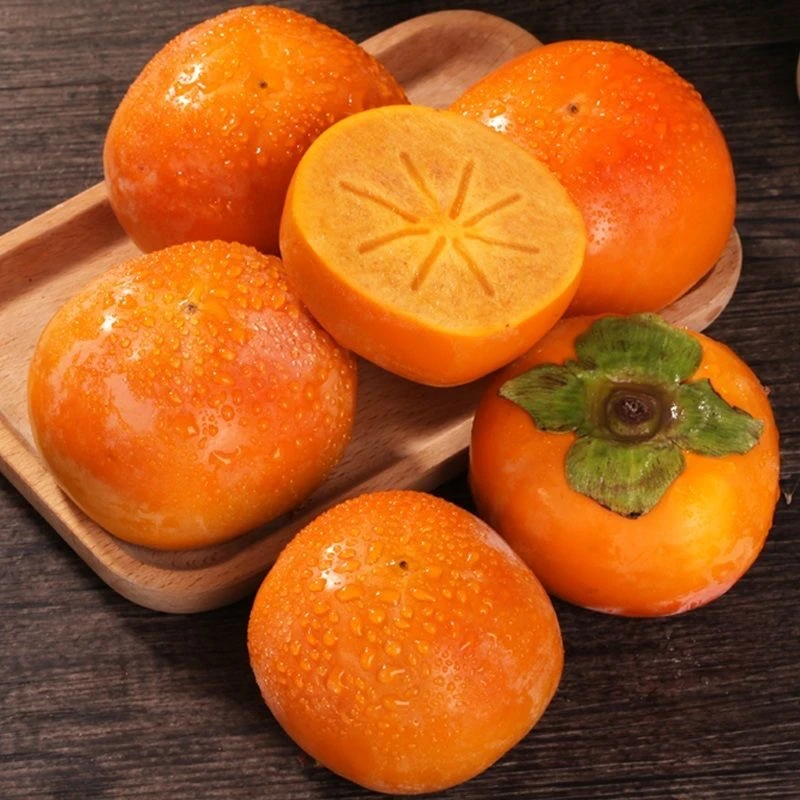 山西阳丰脆柿子新鲜脆甜现摘现发4.5斤装g