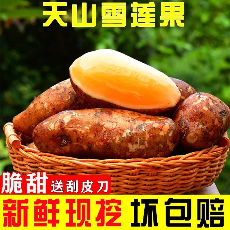 云南正宗白红心天山雪莲果新鲜应季水果脆爽多汁整箱脆甜清甜现挖