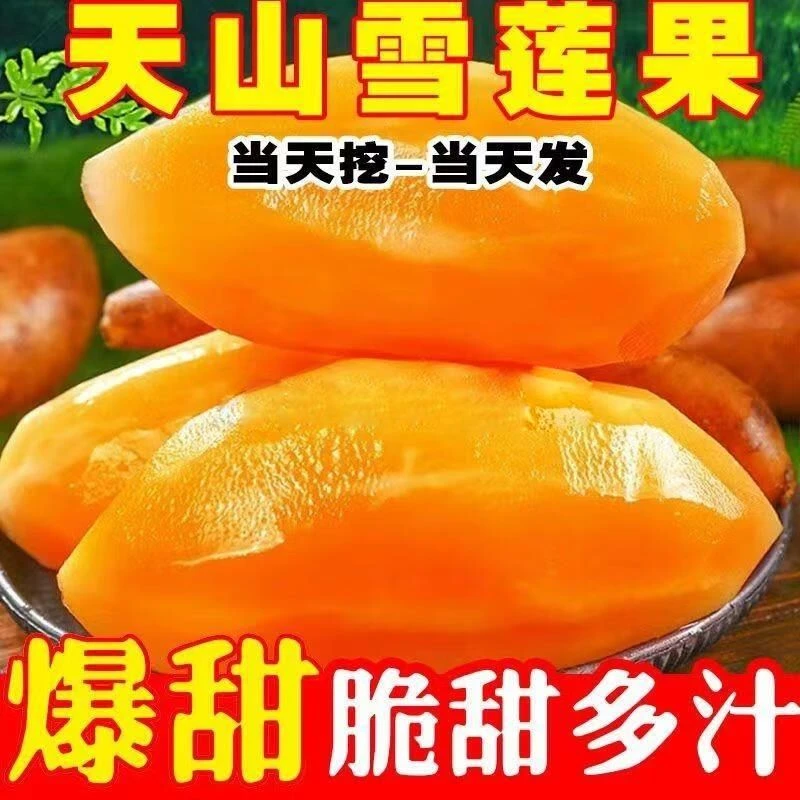 云南新鲜天山雪莲果现挖当季红黄心孕妇水果特产雪连果汁水脆爽甜