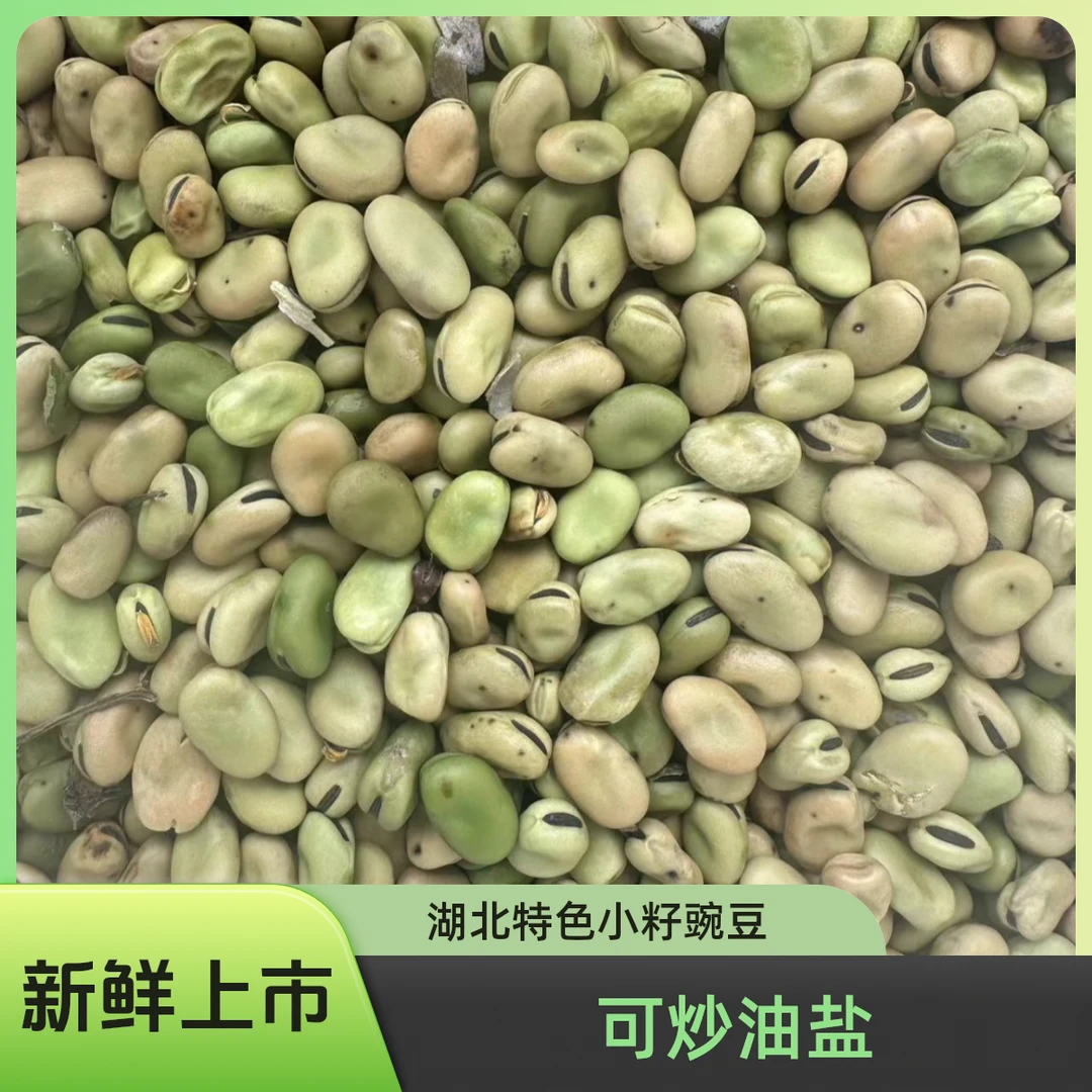 湖北农家小籽豌豆蚕豆枯弯豆新鲜上市可炒油盐兰花豆有少量花斑