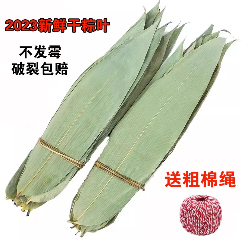 干粽叶新货野生大粽叶箬叶叶 新鲜粽叶粽子叶4-11cm宽、50片/100片