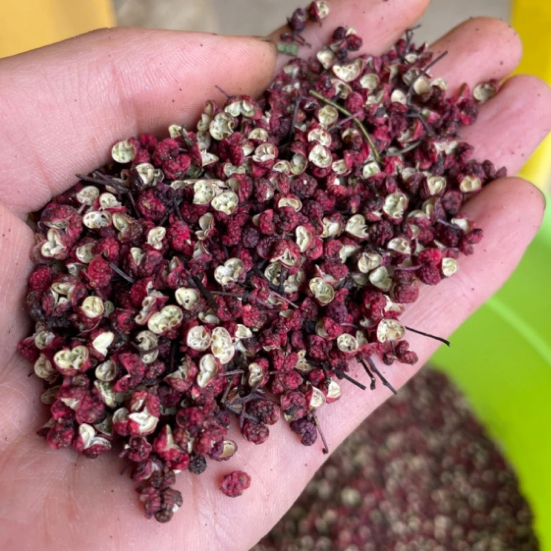 秦安千户大红袍干花椒