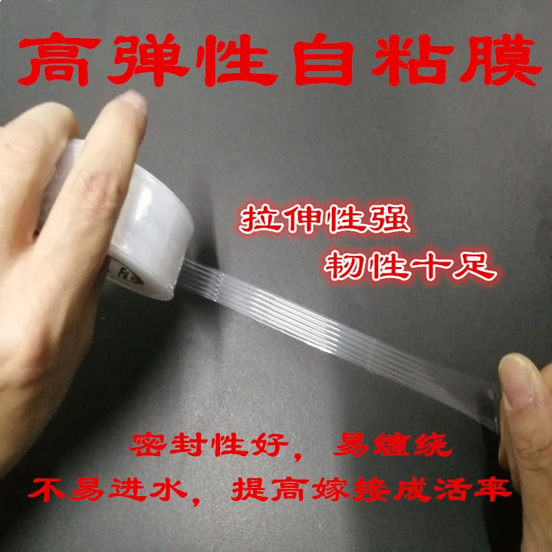 嫁接膜专用膜PE无需打结薄膜 嫁接绑带果树苗木包扎带 自粘膜包邮