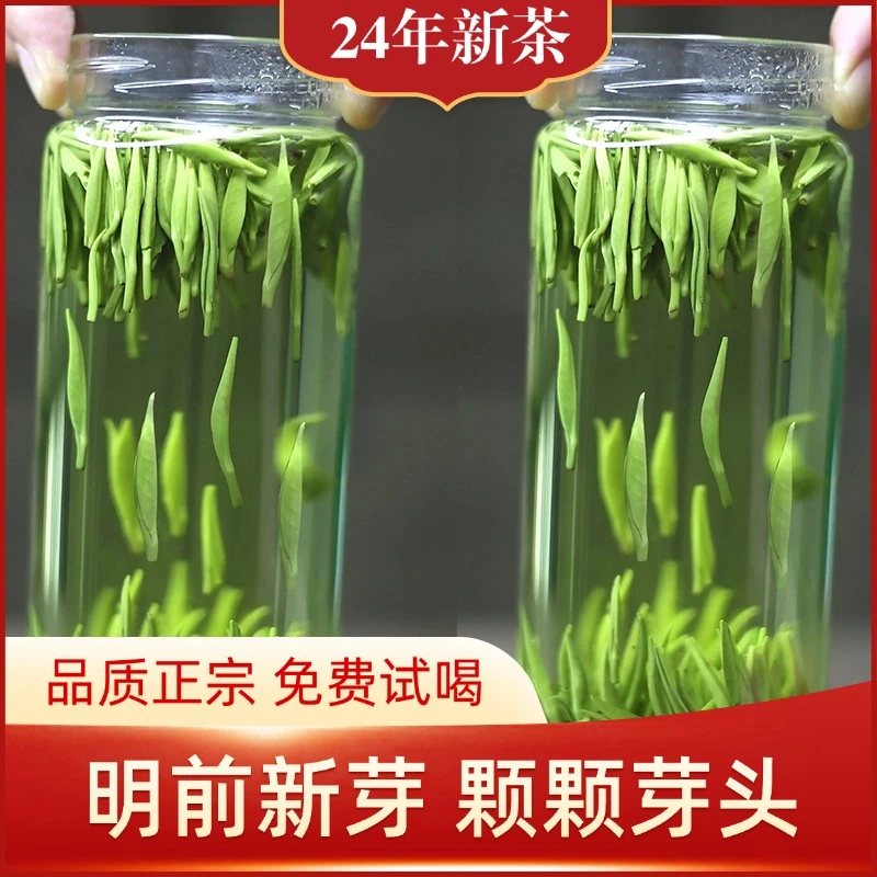正宗明前新茶绿茶叶明前嫩高山春茶清香回甘罐装
