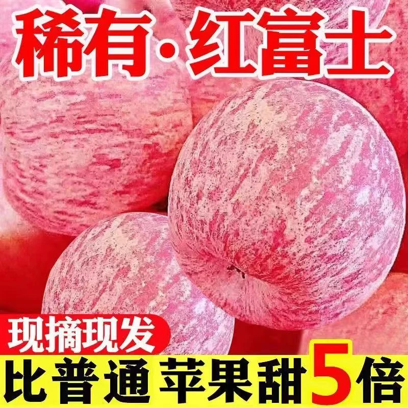 正宗山东烟台苹果红富士脆甜苹果新鲜水果净重3-9斤