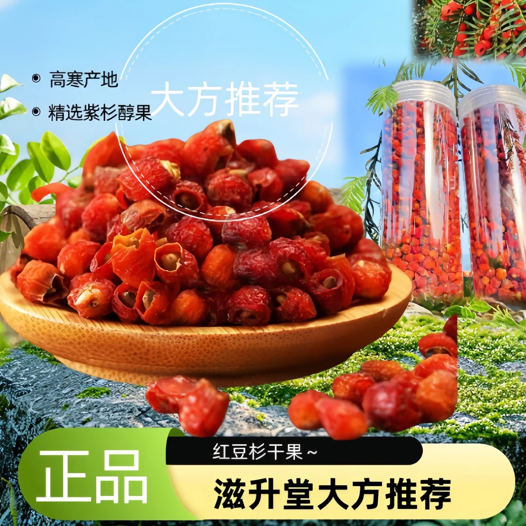 【正宗紫杉果-高端下山货】高寒产地红豆杉果子干泡水泡酒稀缺特产
