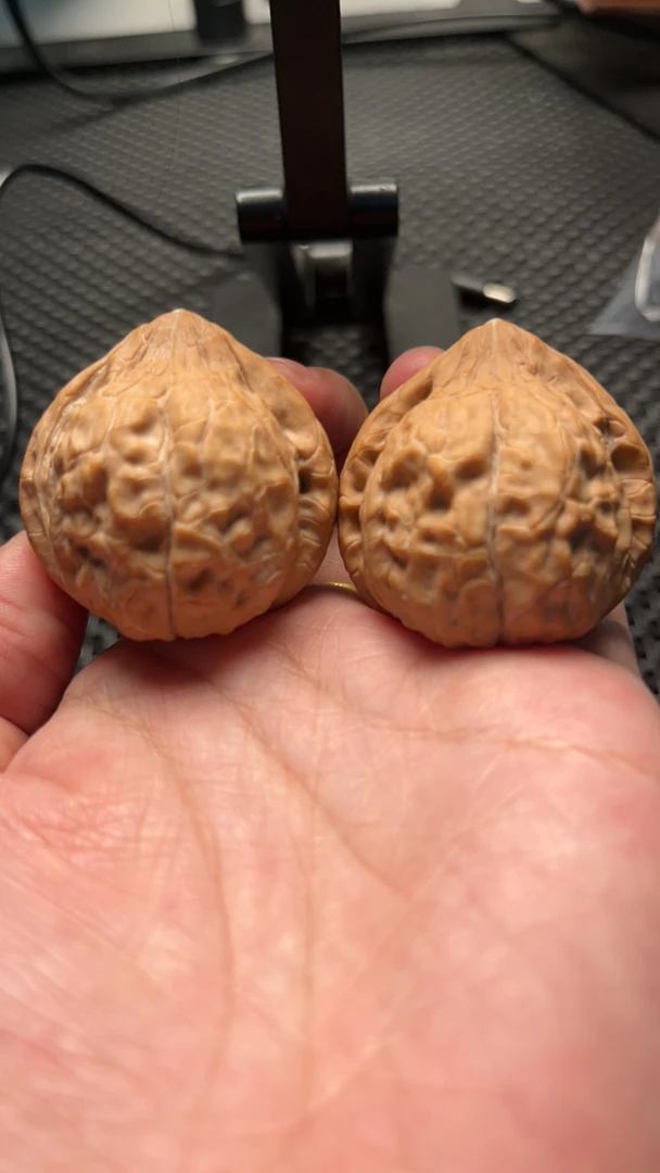 龟甲纹小众高端粗筋大肚纹路浅核桃