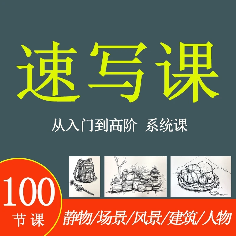 零基础学画画 速写系统课程100节