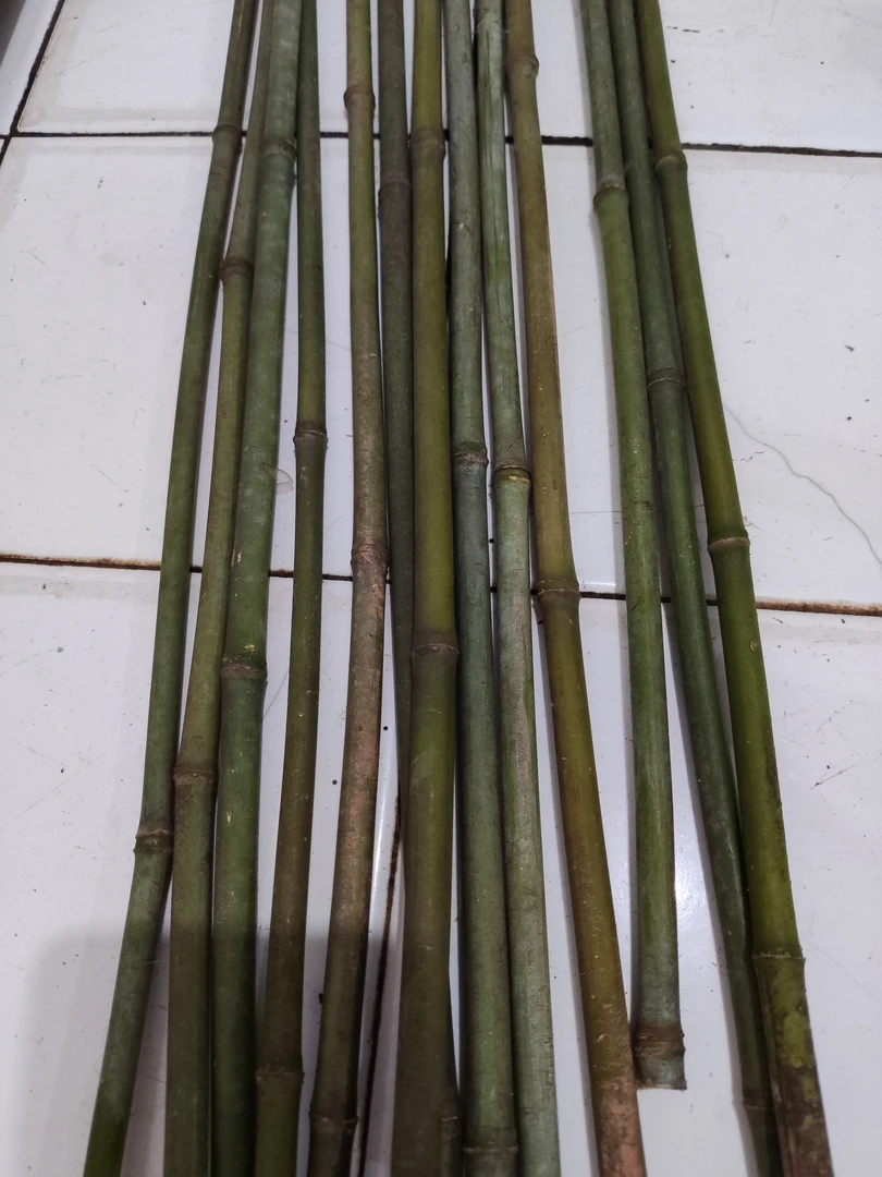 实心玉竹手串料0.5/1.0cm长60Cm，20根，可加工手串筷子蝈蝈笼