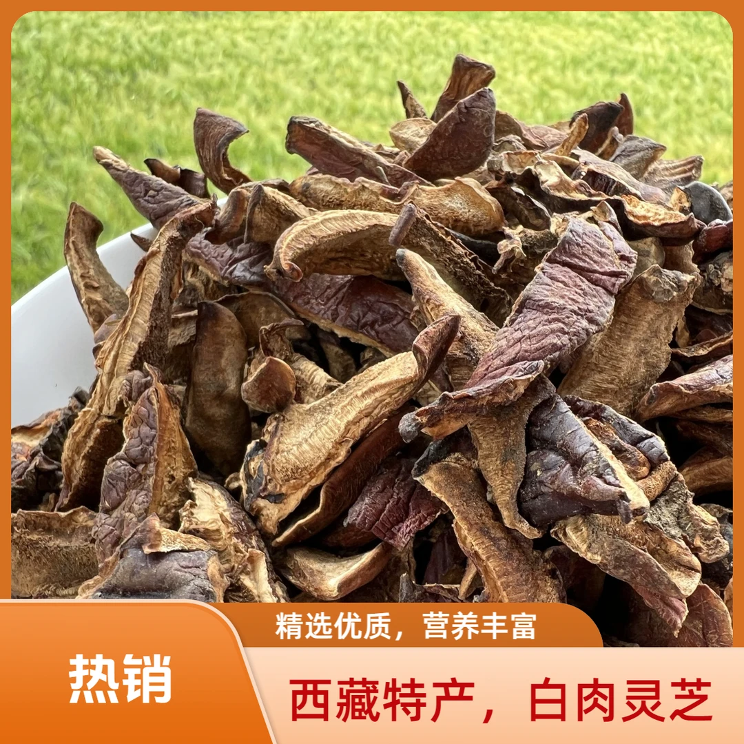 西藏波密白肉灵芝-波密源头空运发货-不带菌杆切片-煮水/炖汤