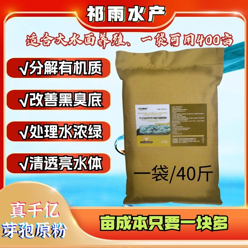 《千亿枯草芽孢原粉》1000亿含量芽孢水体老化水浓水绿有机质多活菌