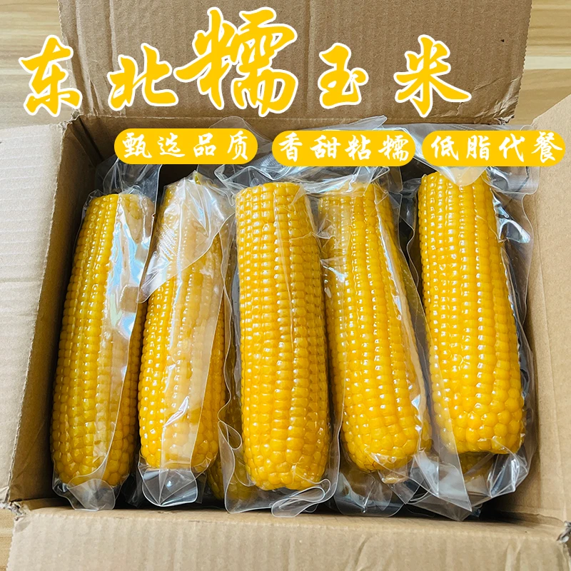 东北黄香糯玉米软糯香甜黄金糯试吃两棒单根260g左右整箱7斤