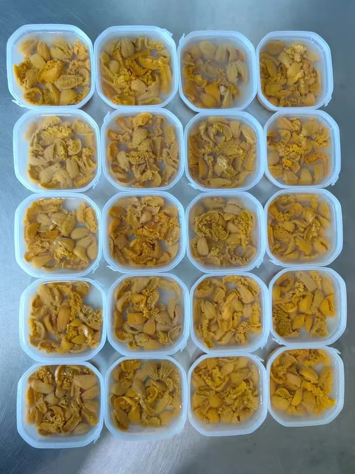 马粪胆水盒 海胆黄 海胆刺身日料店 工厂直发 批发零售 顺丰包邮