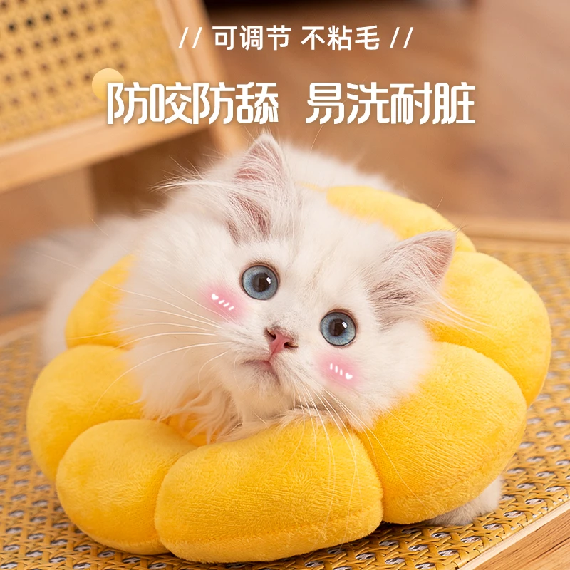 养宠装备伊丽莎白圈猫咪防舔项圈宠物项圈防舔围脖猫咪脖圈头套