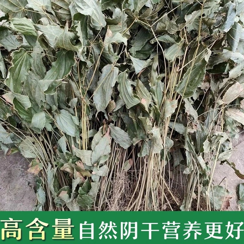 仙灵脾正宗深山仙灵脾叶根茎100g泡水泡酒
