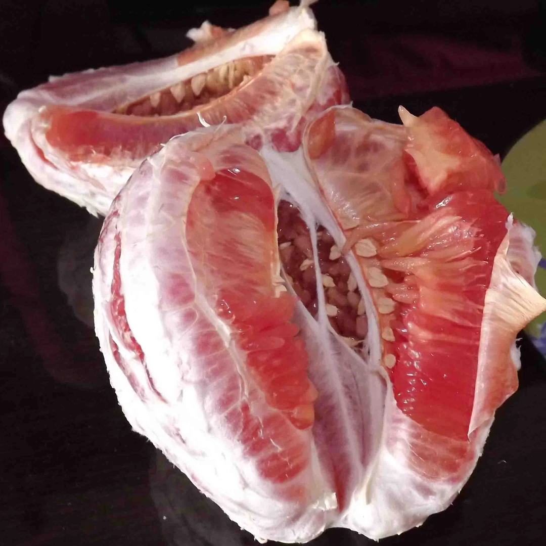 湖南批发嫁接柚子苗盆栽结果种苗挂果三红蜜柚苗新品柚子树苗成活