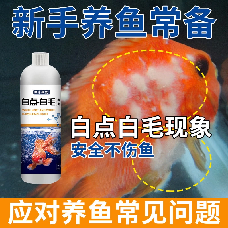 观赏鱼白点净白毛水霉鱼缸金鱼锦鲤鹦鹉鱼预防小瓜虫多种鱼类适用