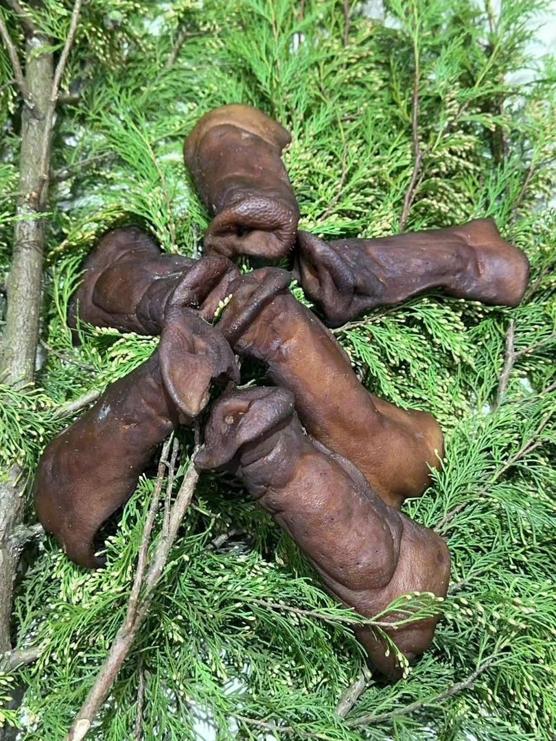 恩施土家柏树枝烟熏腊猪拱嘴