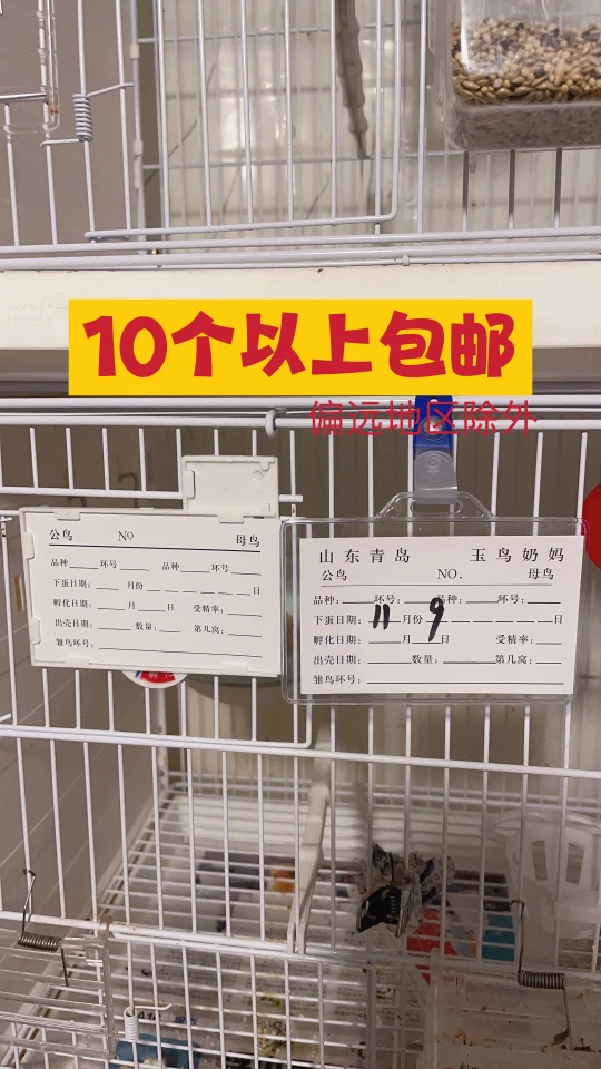 鸟用繁殖牌 繁殖记录牌