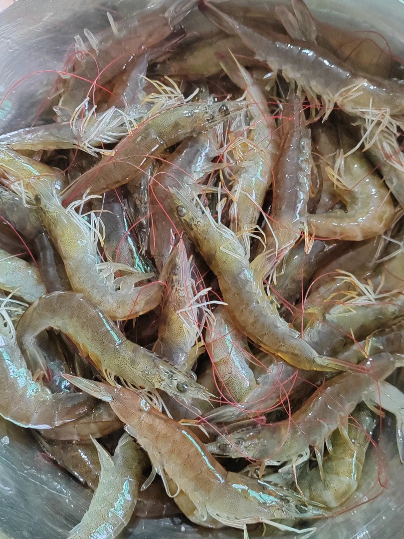 崖南海虾海鲜口感好肉质量好价格实惠