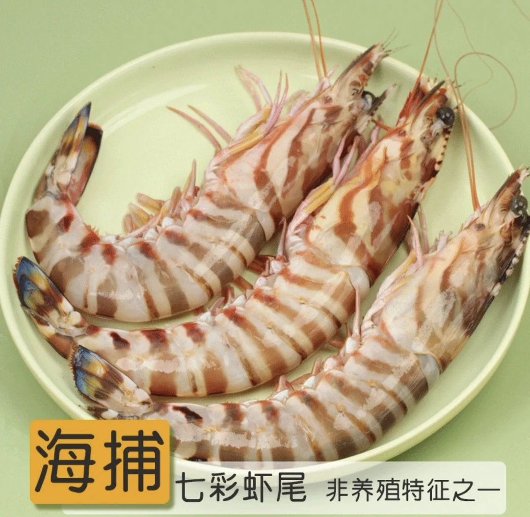 冰鲜野生竹节虾 2斤装 上海空运发货