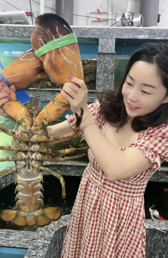 波士顿大龙虾 （1-15斤）鲜活充氧发货到家不包活