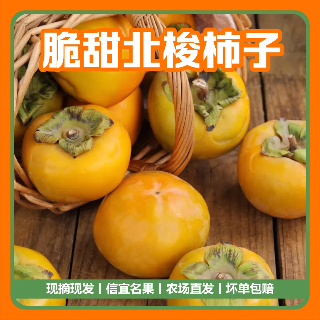 【现摘现发】新鲜大果广东信宜北梭柿甜柿脆甜无涩水果肉厚甜柿包邮